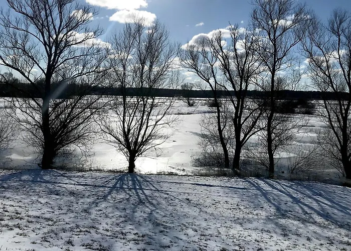 Vakantiehuis Timber House For Outdoors Fans By Elbe